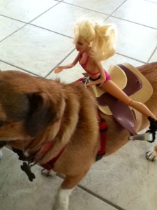 barbie rides again