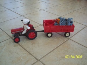 mr the king and snoopy