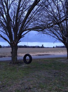 tire swing